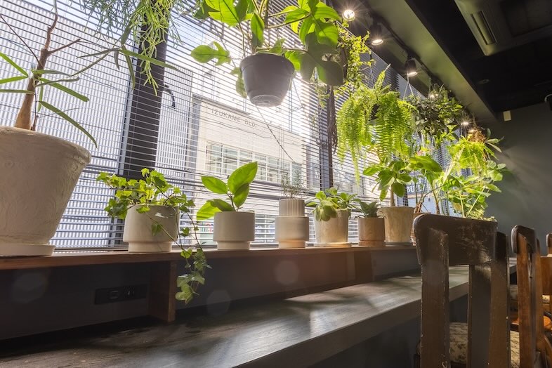 CafefleurLOUNGE心斎橋｜観葉植物が並んだ窓際は、ヘルスケア広告やサステナブルをテーマにしたYouTubeやCMに最適