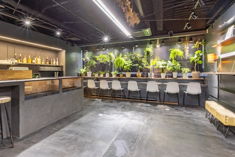 CafefleurLOUNGE心斎橋｜観葉植物が壁いっぱいに並ぶフォトジェニックな背景は、SNSのカフェ投稿や広告用スチールにも最適