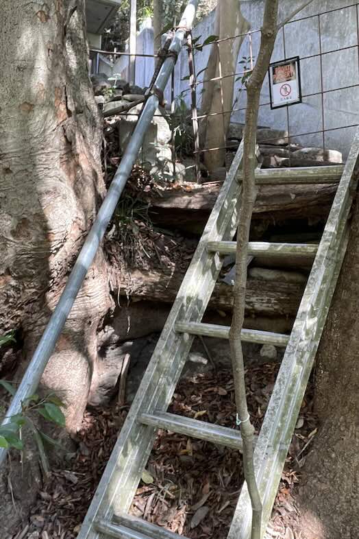 unbox okuōme｜川へ下る際のはしご