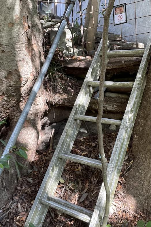 unbox okuōme｜川へ下る際のはしご