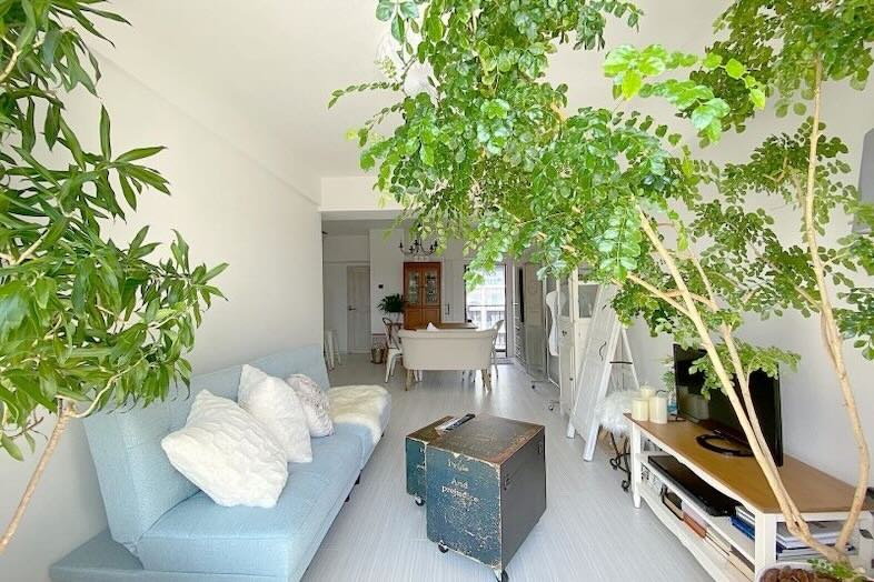 亀戸902マンションスタジオ｜背景になる大きな観葉植物あり