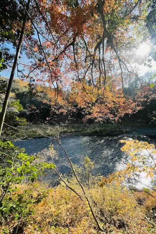 unbox okuōme｜ロケーション（秋）