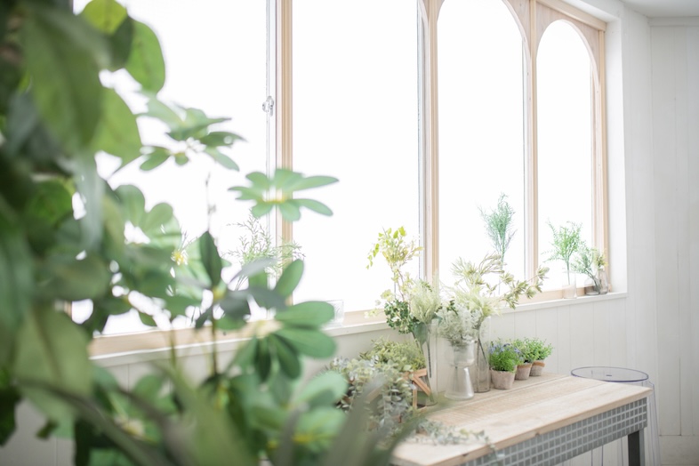 スタジオクークー︎｜【3F】植物が豊富