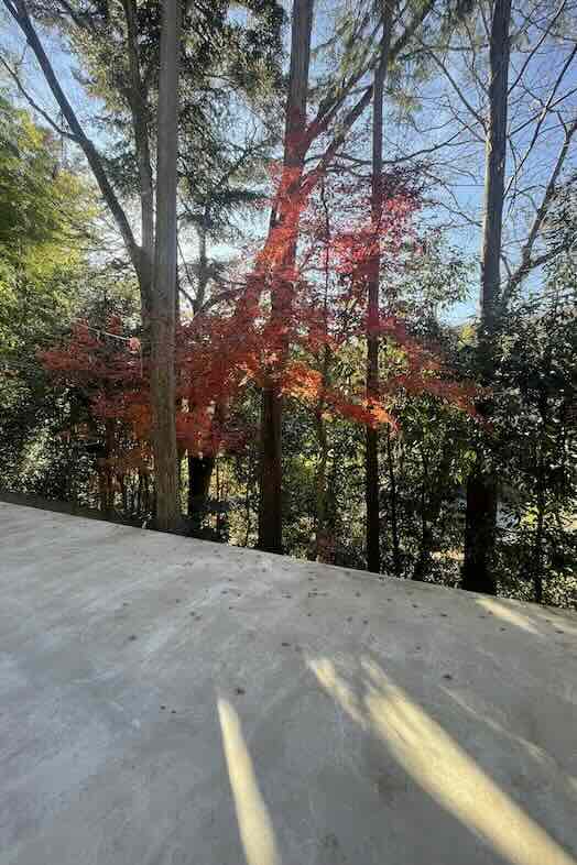 unbox okuōme｜ロケーション（秋）