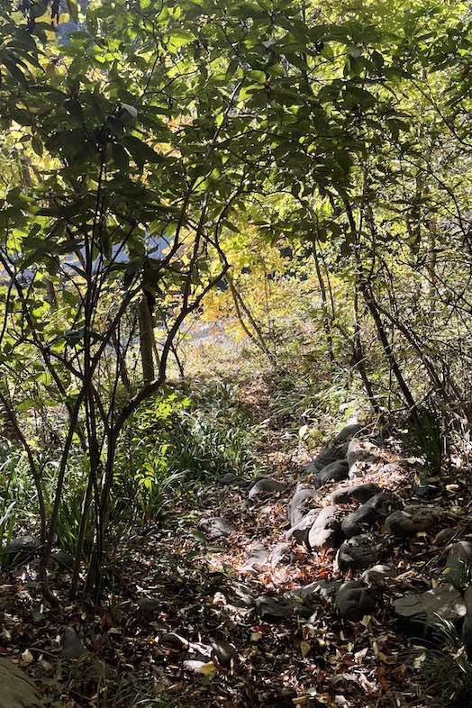 unbox okuōme｜川へ下る道