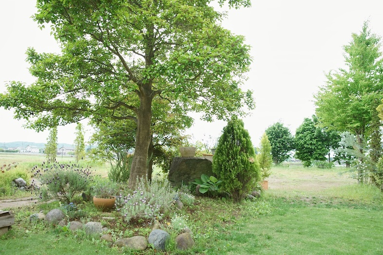 NORMAN HOUSE 東松山｜家族や子供の屋外シーンの撮影に最適な緑豊かな庭