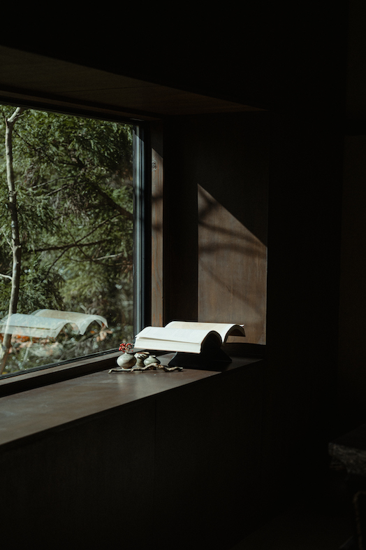 NEFU HAKONE｜汎用性の高い書籍と窓辺の植樹を切り取ったワンカットが撮れる