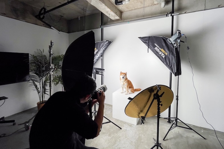 BUNKER STUDIO｜ペット撮影もOK