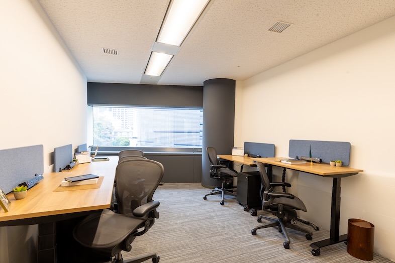 The Executive Centre　目黒アルコタワー｜都心部が見渡せるオフィスでのワークシーンを