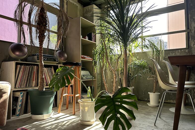 旧海岸第十スタジオ｜植物が多めのボタニカルな空間