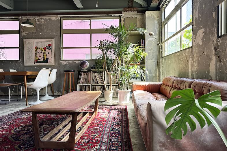 旧海岸第十スタジオ｜天井の鉄骨梁と植物のコントラストが絶妙