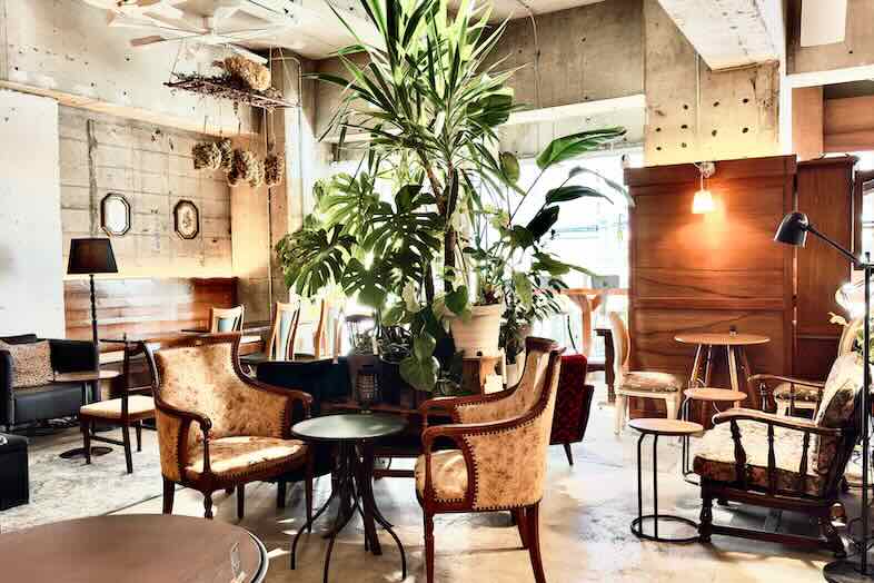 in the house / Nishiwaseda “Emporium”｜【カフェスペース/昼】中央の観葉植物がダイナミックでありつつ自然と背景に溶け込みます