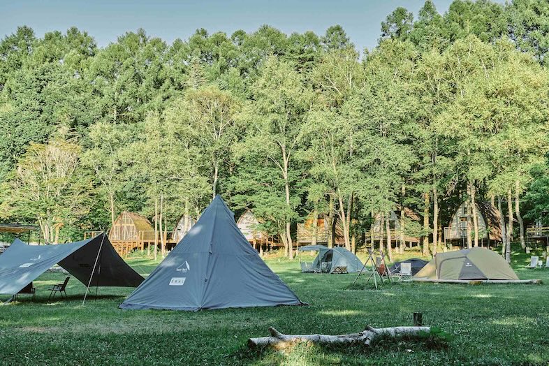 TINY GARDEN 蓼科 URBAN RESEARCH DOORS｜【キャンプサイト】芝生と白樺が広がる敷地はファミリー向けキャンプ撮影にも最適