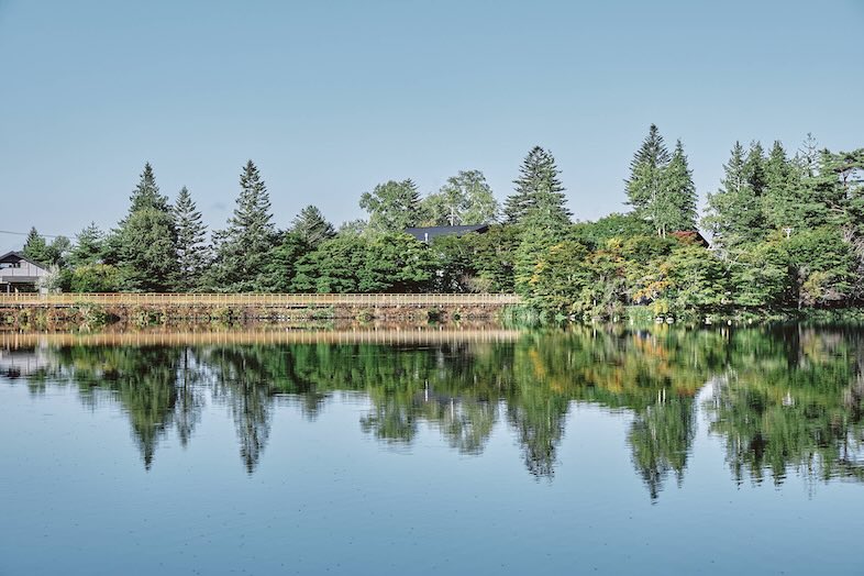 TINY GARDEN 蓼科 URBAN RESEARCH DOORS｜白樺林と水辺が同時に入るロケーション