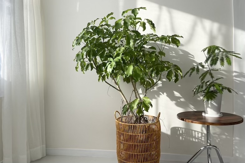 studio jane 水道橋スタジオ｜【White room】何も持ち込まなくても画が成立するスタジオ