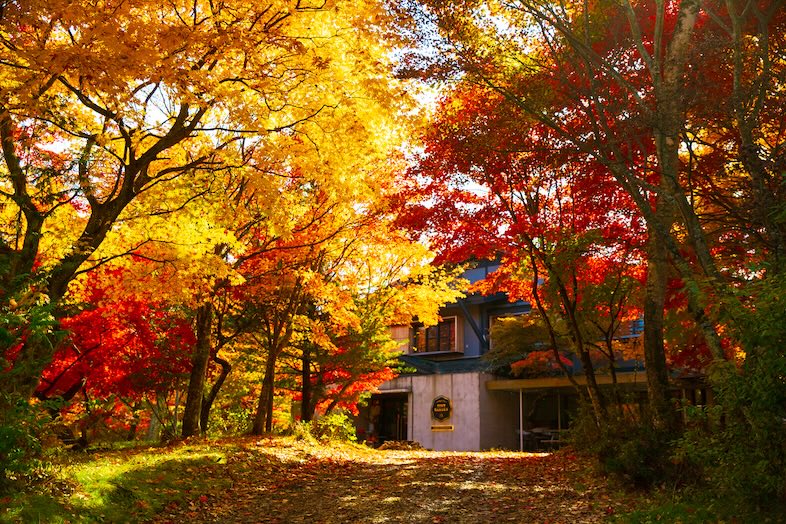 TINY GARDEN 蓼科 URBAN RESEARCH DOORS｜【LODGE】四季の魅力を一枚で伝えられるカットが得意なロケ地