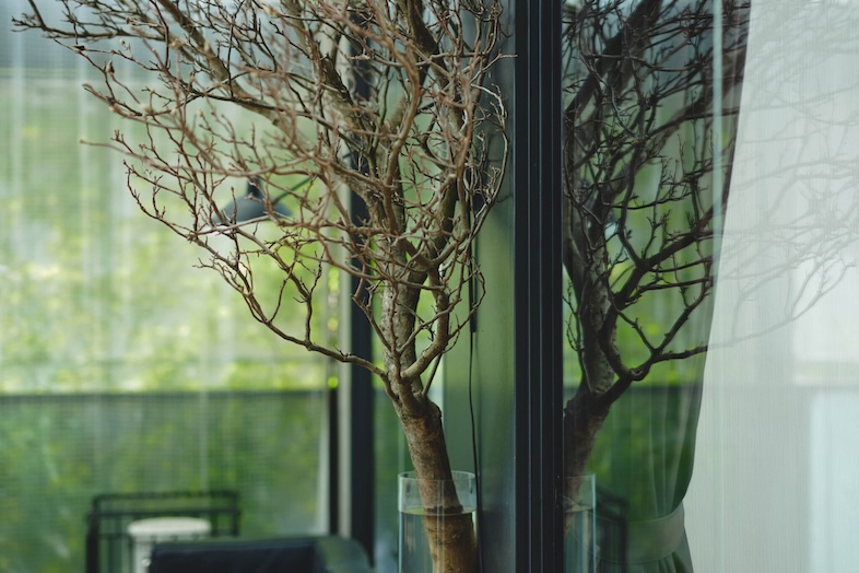 ローズスタジオ南青山｜黒フレームサッシ越しに緑を取り込むことで、都会的で抜けのあるライフスタイル撮影が叶う