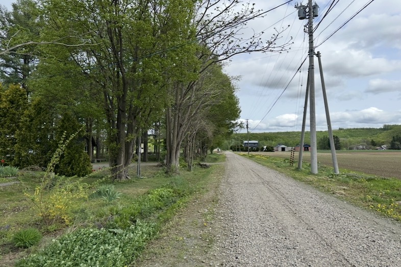 美瑛町十勝岳が一望できる森のレストラン｜四季折々の表情を見せ、夏にはみずみずしい新緑が広がります