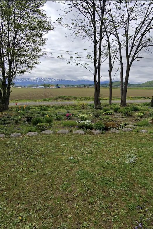 美瑛町十勝岳が一望できる森のレストラン｜壮大な畑を背景に撮影が可能