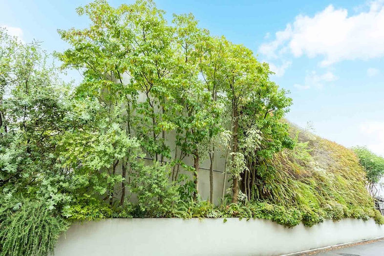 House of OMOTESANDO｜【外観】木々のそよ風と静けさを感じながら、撮影や収録が可能