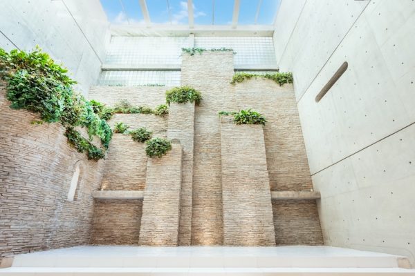 【Sky HALL (B1F)】上空に抜ける構造とグリーンの陰影が圧巻の建築美