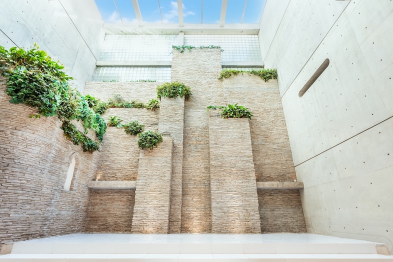 House of OMOTESANDO｜【Sky HALL (B1F)】上空に抜ける構造とグリーンの陰影が圧巻の建築美