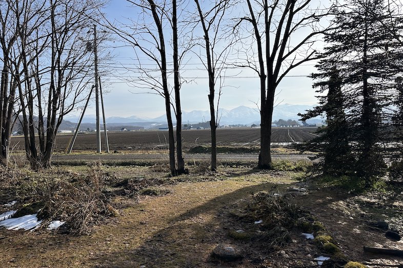 美瑛町十勝岳が一望できる森のレストラン｜十勝岳を一望できます