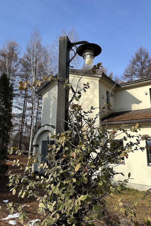 美瑛町十勝岳が一望できる森のレストラン｜【外観】森の中のレストラン