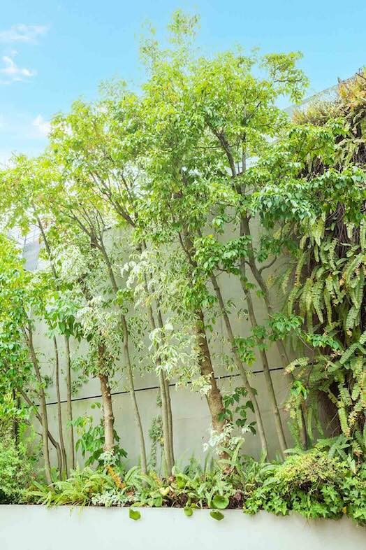 House of OMOTESANDO｜【外観】都心にいながら自然を感じる画作りも可能