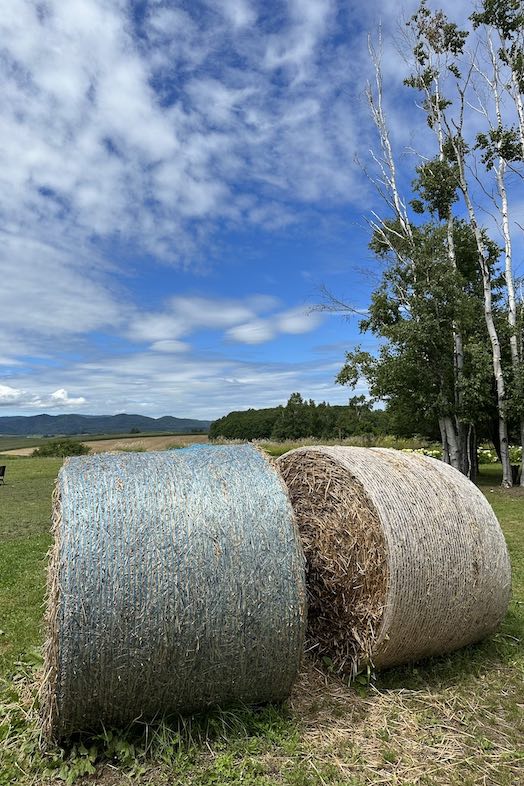 美瑛町十勝岳が一望できる森のレストラン｜牧草ロール（ロールベール）も周辺にあり