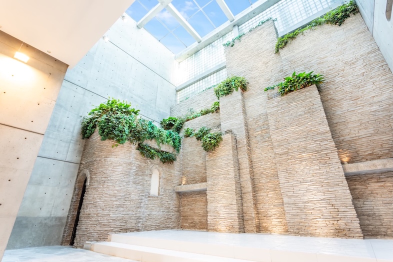 House of OMOTESANDO｜【Sky HALL (B1F)】時間帯で光が表情を変える空間は、ルック撮影や収録を1日で完結できるのが強み