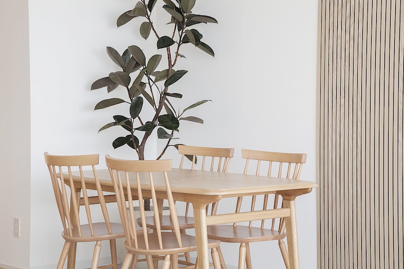 studio AMUSU 早稲田｜ダイニングテーブルと観葉植物のある空間は、ナチュラルなブランド撮影に最適