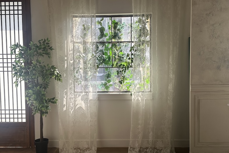 今川スタジオ｜レースカーテン越しに光が差し込む窓辺のカット