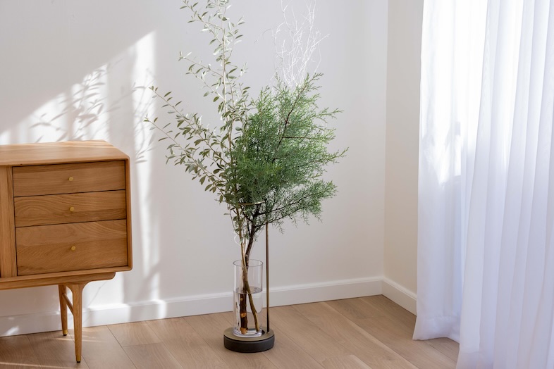 OLD OLIVE｜【Cゾーン】植物とチェストのシンプルな組み合わせ