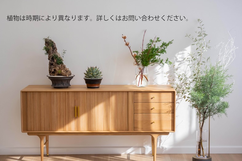 OLD OLIVE｜※植物は時期により異なります。詳細はお問い合わせください