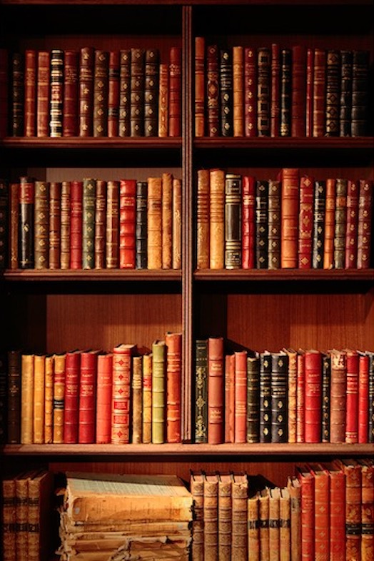 NOEMA images STUDIO｜洋書が陳列された本棚