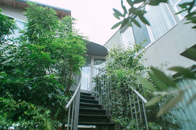 STUDIO MAME｜外階段へと続く緑豊かなアプローチ