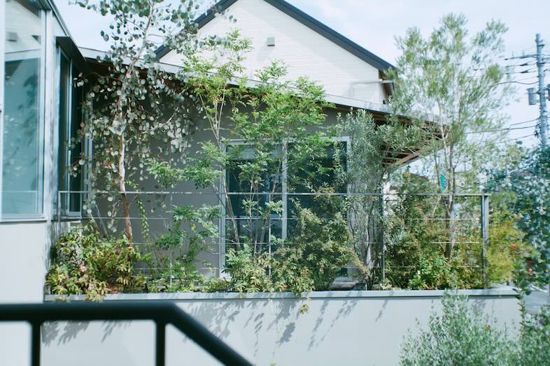 STUDIO MAME｜植栽に覆われた外観カット