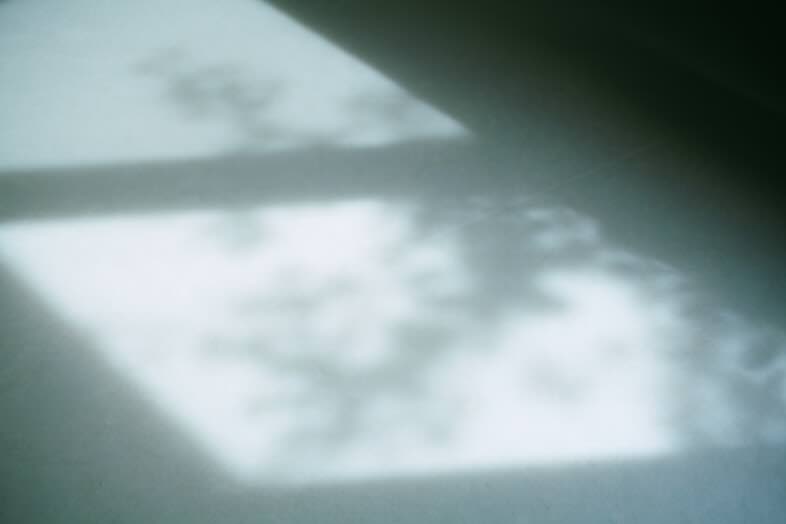 STUDIO MAME｜陰影を活かしたナチュラルなポートレート撮影に