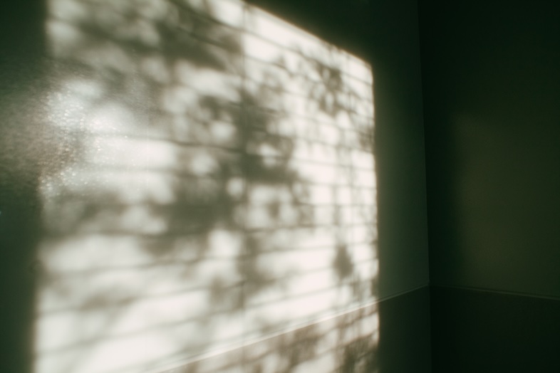 STUDIO MAME｜木漏れ日のような光が印象的