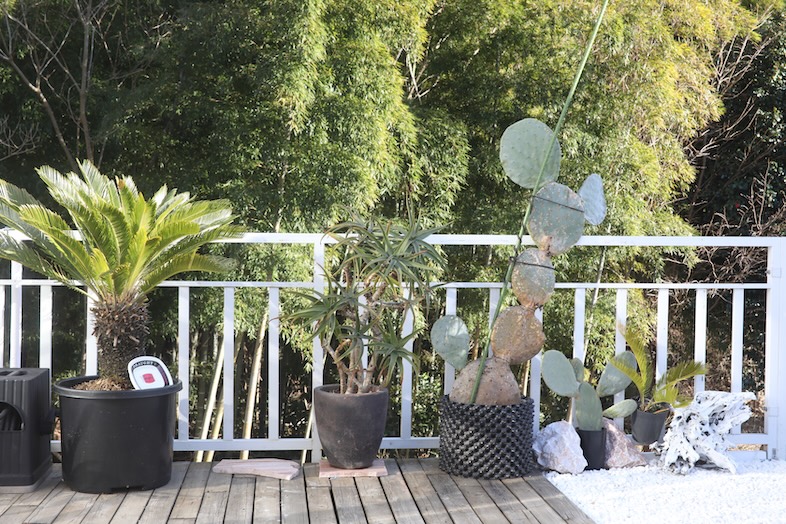 LA SABINA 印西｜【2F】緑と空を見渡すバルコニーからのカット