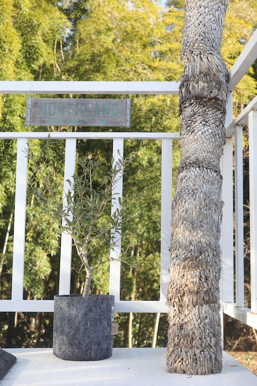 LA SABINA 印西｜【2F】白いバルコニーと木のある開放的な屋外