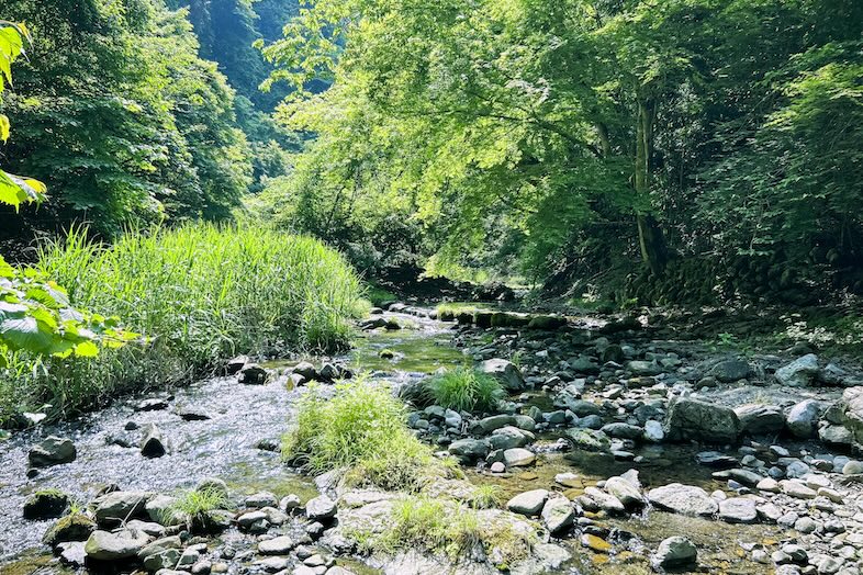 soycasa akikawa｜養沢川と広がる自然を背景に四季折々の撮影が可能