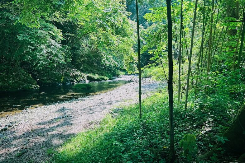 soycasa akikawa｜蛍の名所として知られる養沢川