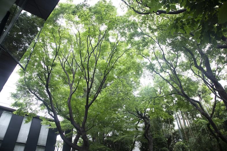 ZIG TOKYO｜【庭】どこを切り取っても自然を感じられる風景