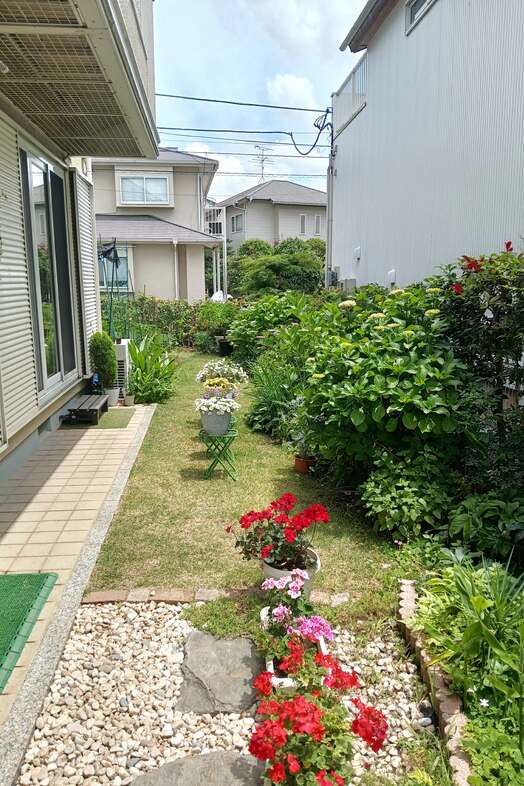 Family Studio Kashiwa｜【外観】春の庭