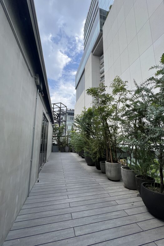 BAIA STUDIO｜【3F】緑と都会の景色が並ぶ屋上