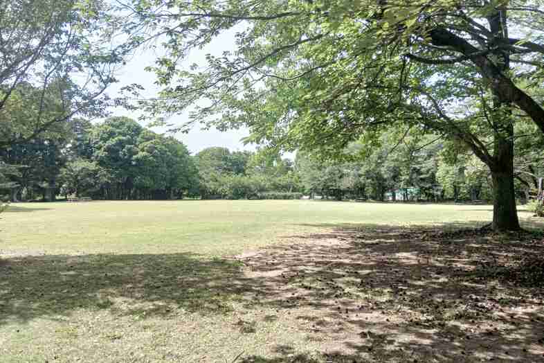 Family Studio Kashiwa｜夏の大型公園