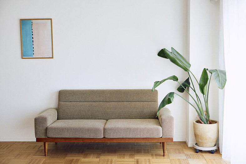 tarme｜ソファと観葉植物を配した白壁は対談や暮らしの撮影にピッタリ
