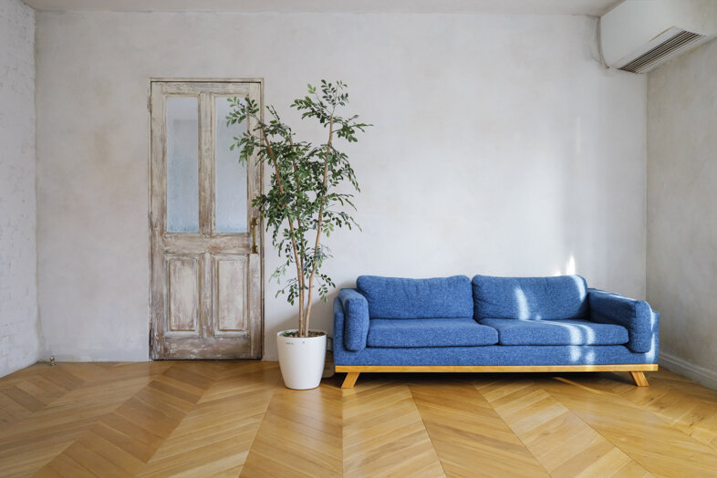 HOUSE STUDIO KUSCHEL｜【2F】ブルーソファと観葉植物が主役の空間は日常を切り取るカジュアルな撮影に